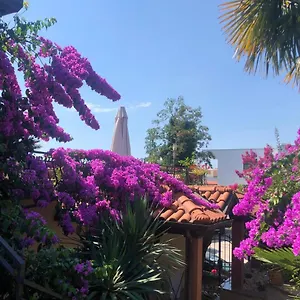 Ana Apartman Opatija